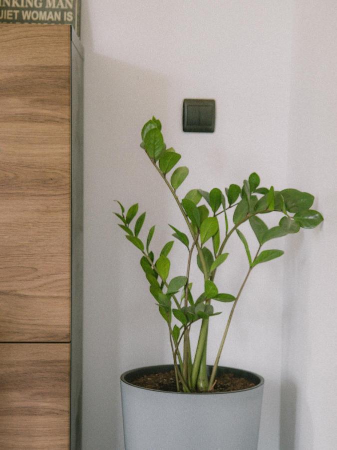 Willa Piwniczka Apartament Jahlowej Piwniczna-Zdroj Екстериор снимка